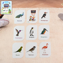 KidKraft Early Learner Educational Flashcards â€“ 32 Birds