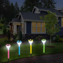 Solar Flower Garden Lights â€“ Outdoor Decorative LED Lamp (2 Pc)