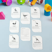 KidKraft Early Learner Educational Flashcards â€“ 32 Birds