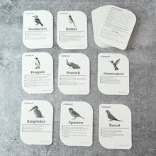 KidKraft Early Learner Educational Flashcards â€“ 32 Birds