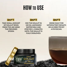 OG Wellness Pure Himalayan Shilajit Resin (20 GM / 1 Pc)